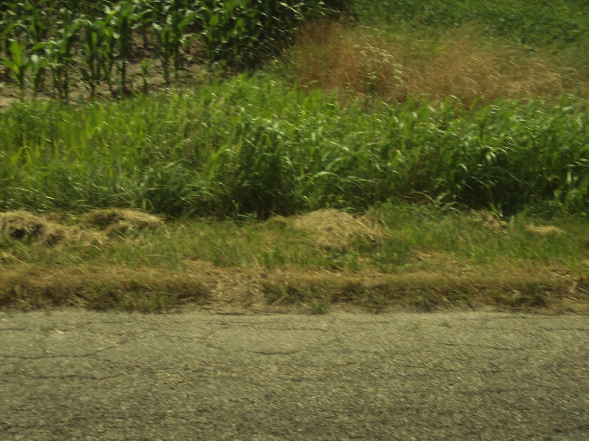 Property photo 28 - 160 Acres Offered in 6 Tracts